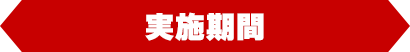 実施期間