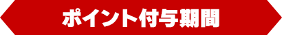 ポイント付与期間