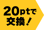 20ptで交換！