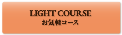 LIGHT COURSE