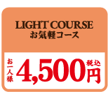 LIGHT COURSE